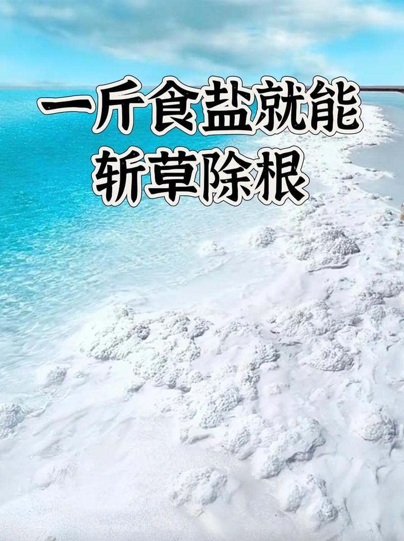 食盐容易结块？放几粒大米吸湿！