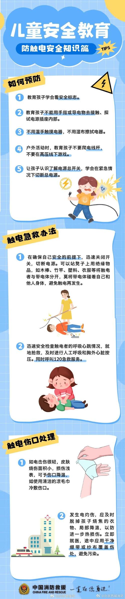 如何预防宠物触电？家庭用电安全防护