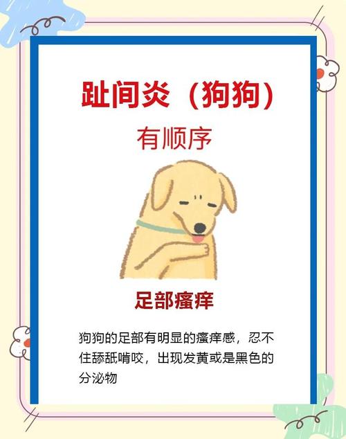 狗狗趾间炎？用「碘伏 + 百多邦」