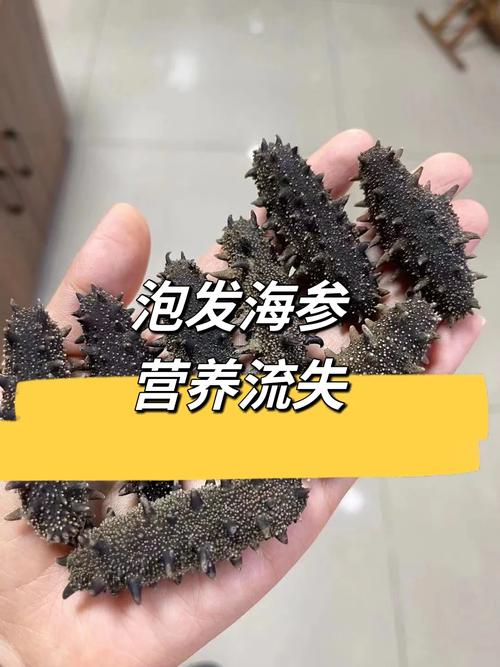 泡发海参的水可以煮粥吗？营养成分溶出分析