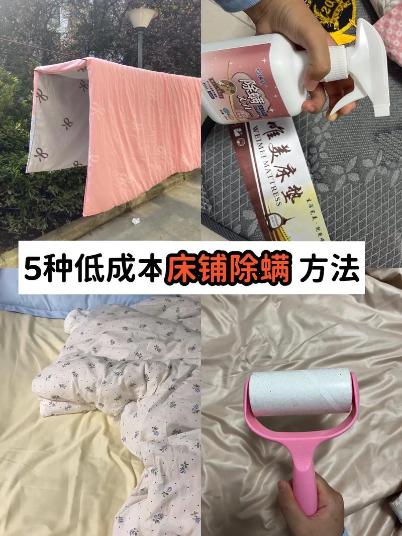 羊毛地毯防螨误区！错误除螨方法解析