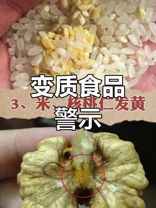 识别变质食物的感官特征