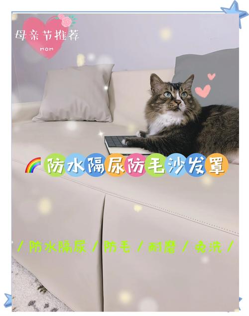 皮质沙发防宠物毛发！橡胶手套逆毛梳理法