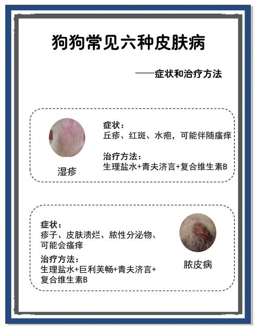 狗狗皮肤病预防?定期「药浴 + 驱虫」