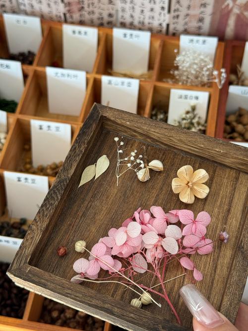 干花制作?倒挂通风阴干定型!
