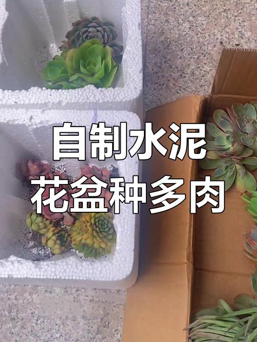 水泥花盆裂缝修补！咖啡渣混合白乳胶填补术