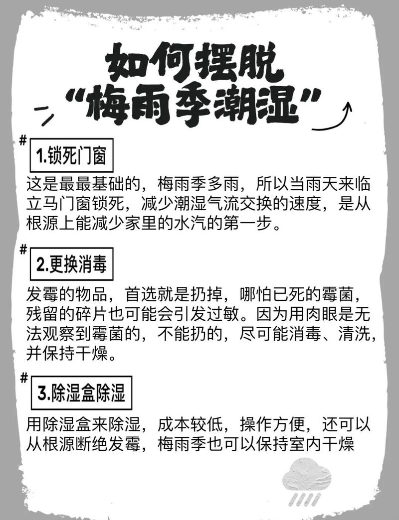 除湿盒放置优化误区！最佳位置分析