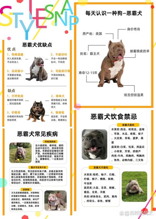 宠物安全注意？收好巧克力洋葱葡萄！