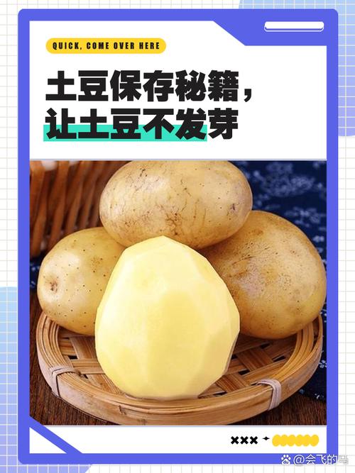 土豆怎么保存不发芽?菜农教我的土方法