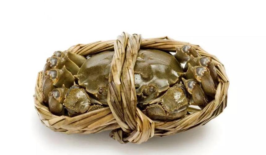 螃蟹捆绑与蒸煮技巧