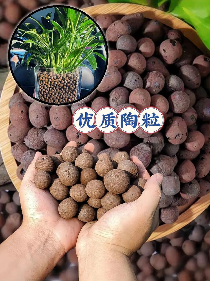 外卖盒种绿植?底部「垫陶粒疏水」