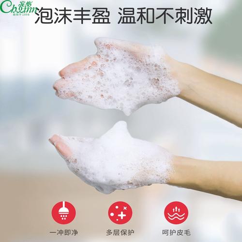 过期洗发水用途!清洗宠物毛发