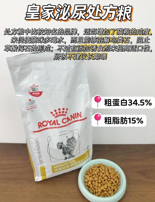 猫咪泌尿结石？喂食「处方粮」