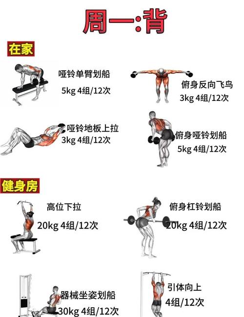 如何科学制定健身计划?运动生理学指南