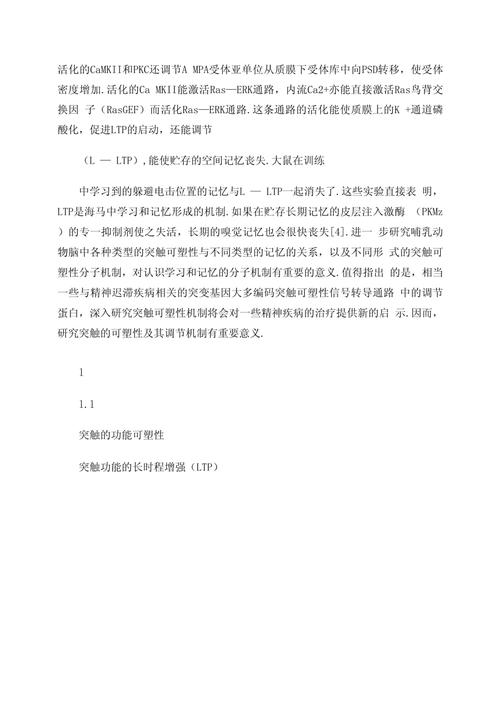 神经可塑性与学习记忆