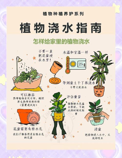 家居绿植养护误区,你避开了吗?